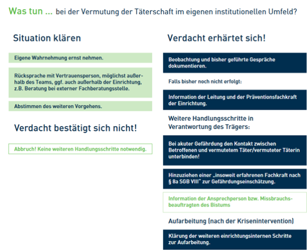 Handlungsleitfaden bei Vermutung der Täterschaft im eigenen institutionellen Umfeld