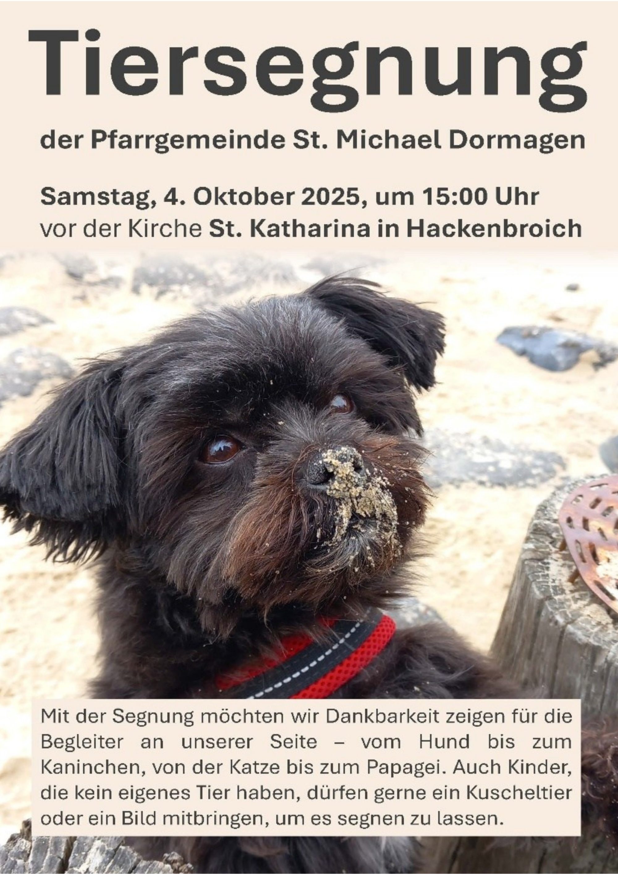 Tiersegnung_2025