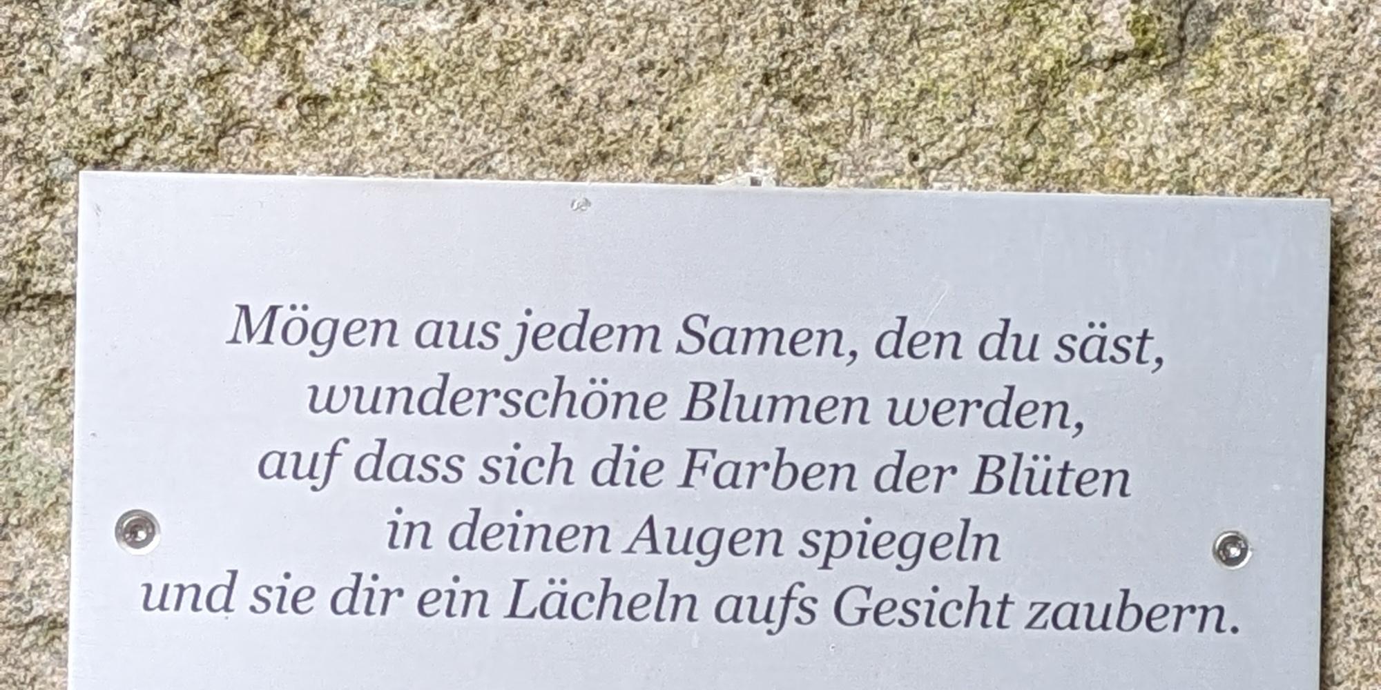 Irischer Segenswunsch Blumen aus Samen