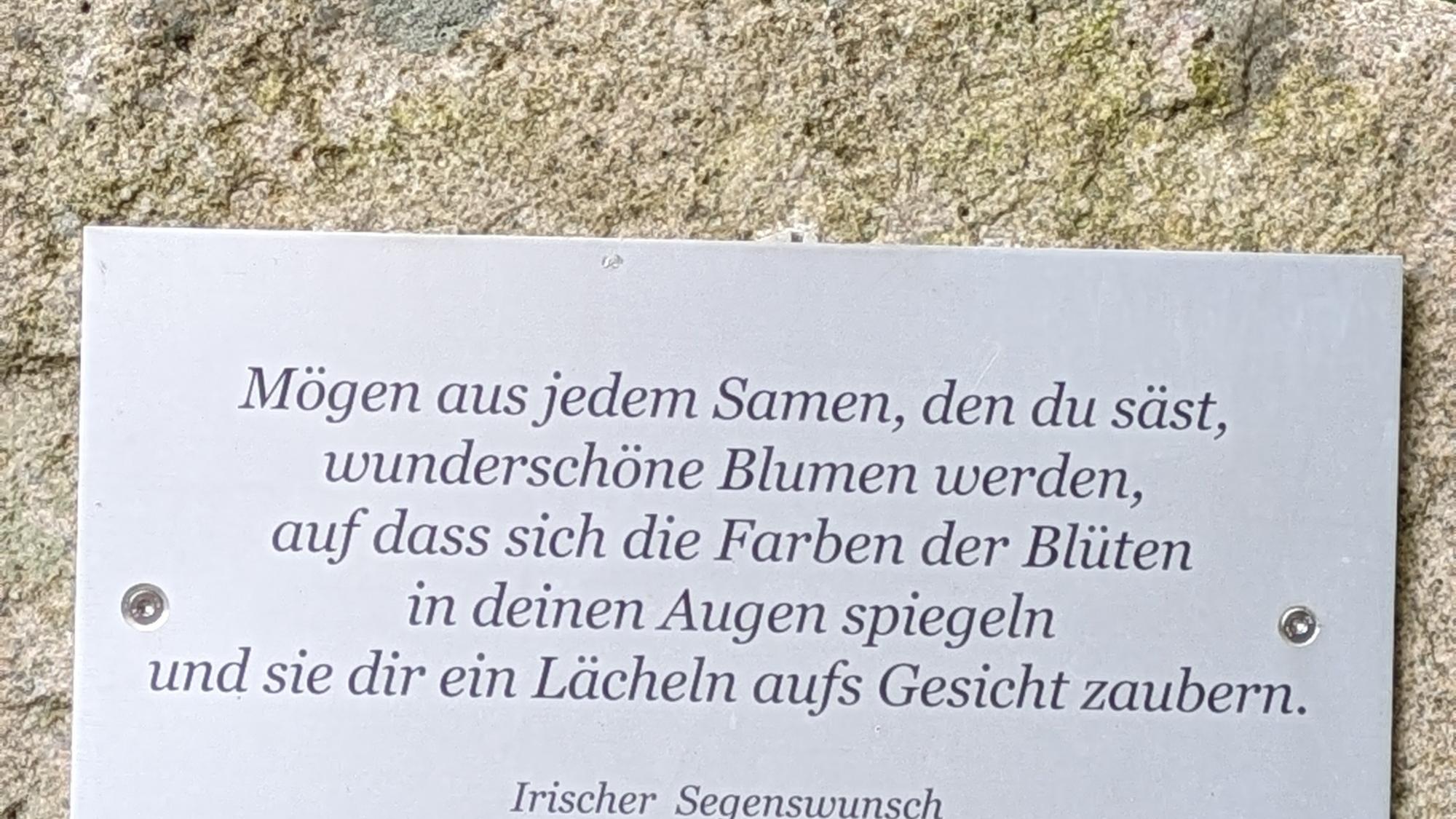 Irischer Segenswunsch Blumen aus Samen