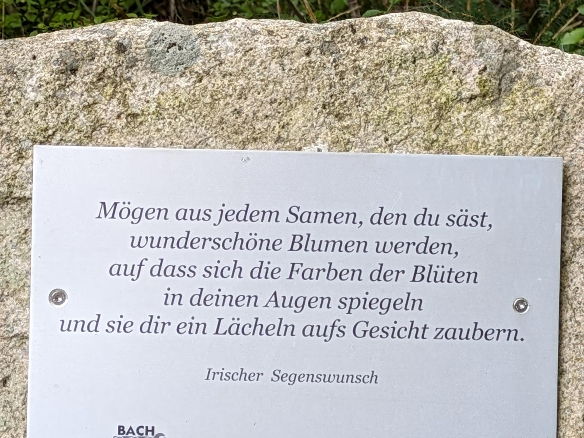 Irischer Segenswunsch Blumen aus Samen